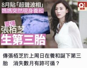 爆料生五胎网红是谁啊视频,网红五胎之谜,她是如何做到的? 第1张 爆料生五胎网红是谁啊视频,网红五胎之谜,她是如何做到的? 第1张